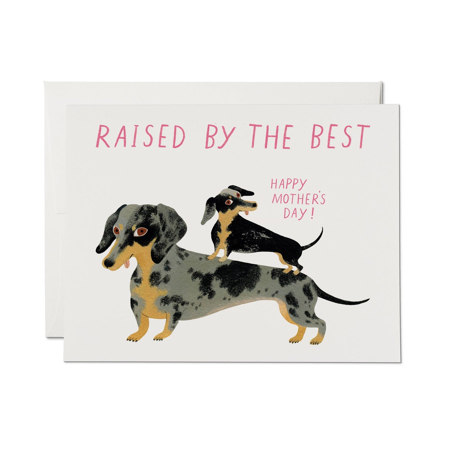 Card with two dachshunds and text 'Raised by the best. Happy Mother's Day!' on a white background