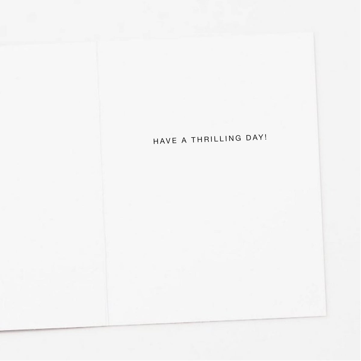 Roller Coaster Birthday Greeting Card
