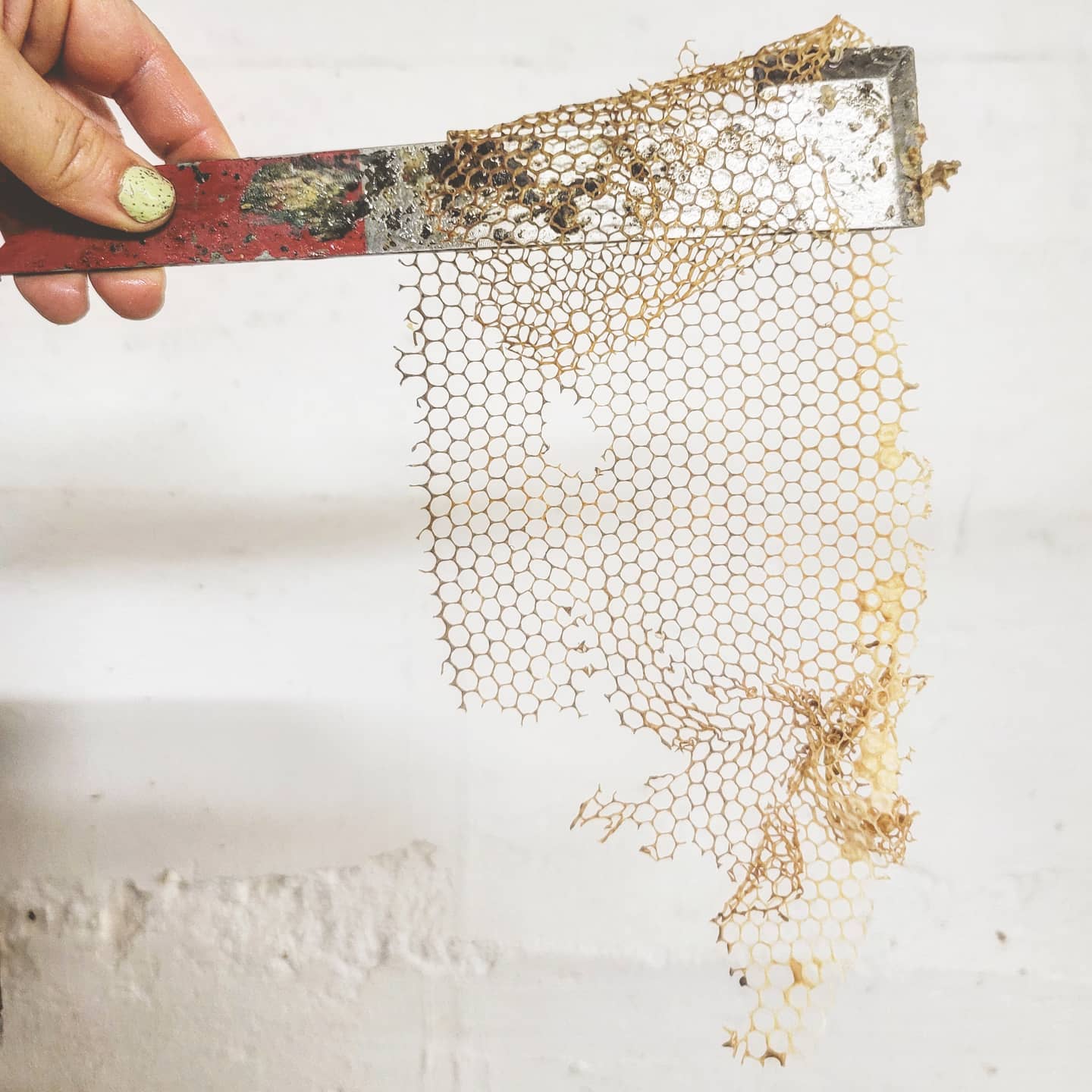 Solid Perfume - Honeysuckle - Handmade with Beeswax