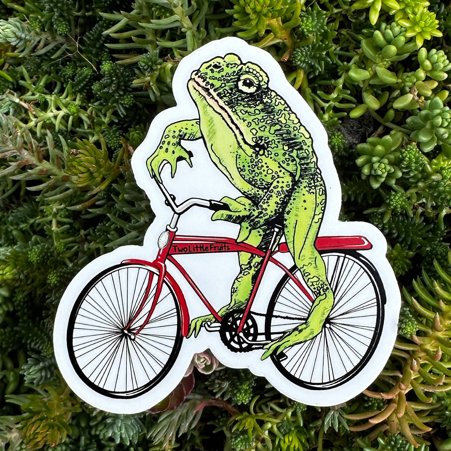 Funny Frog Vinyl Sticker