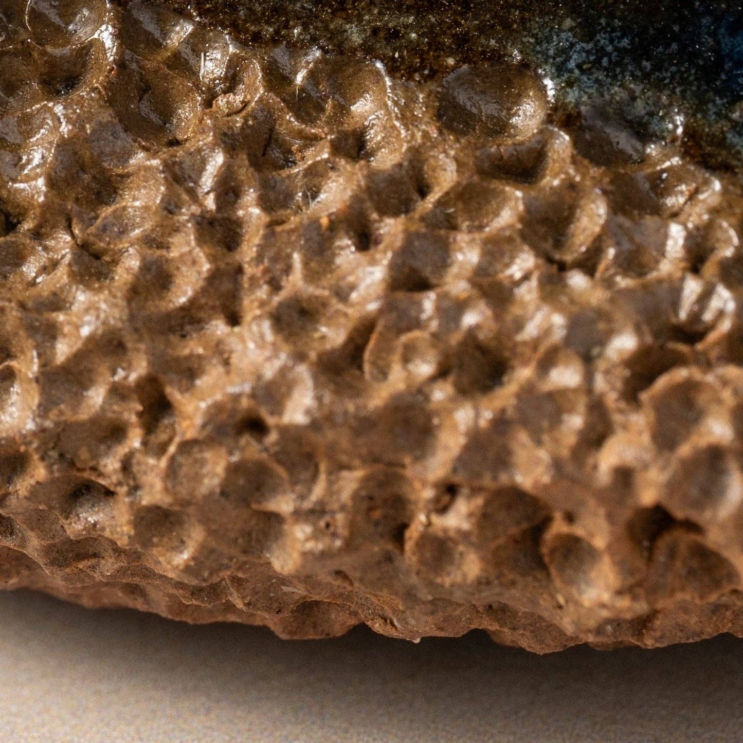 Pedicure Friend Turtle