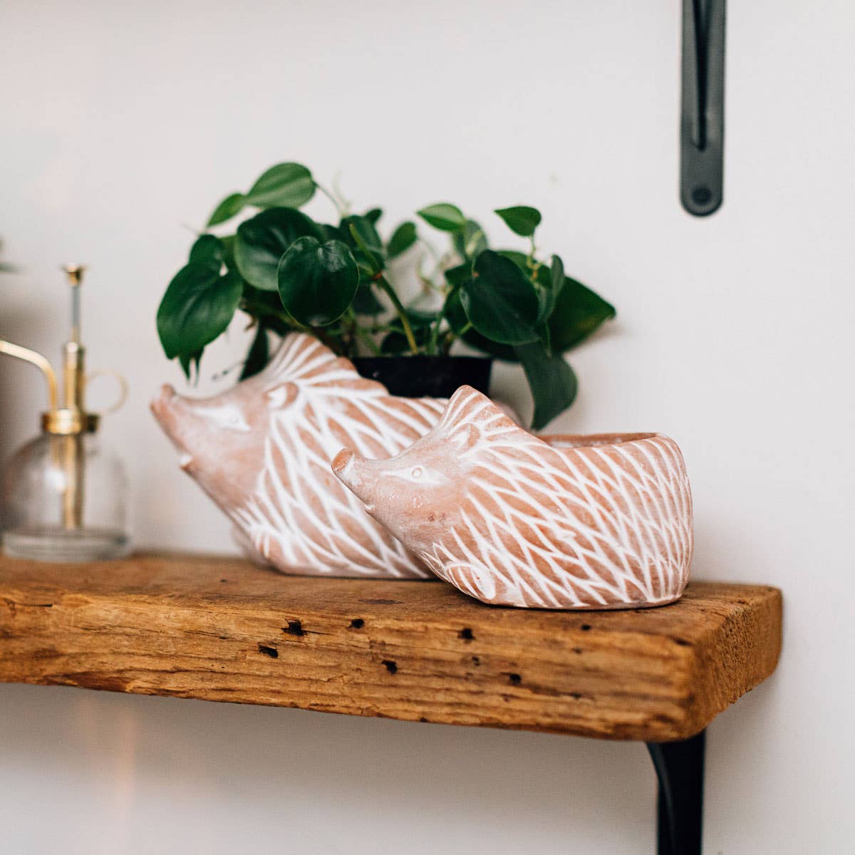 Hedgehog Planter (Large)