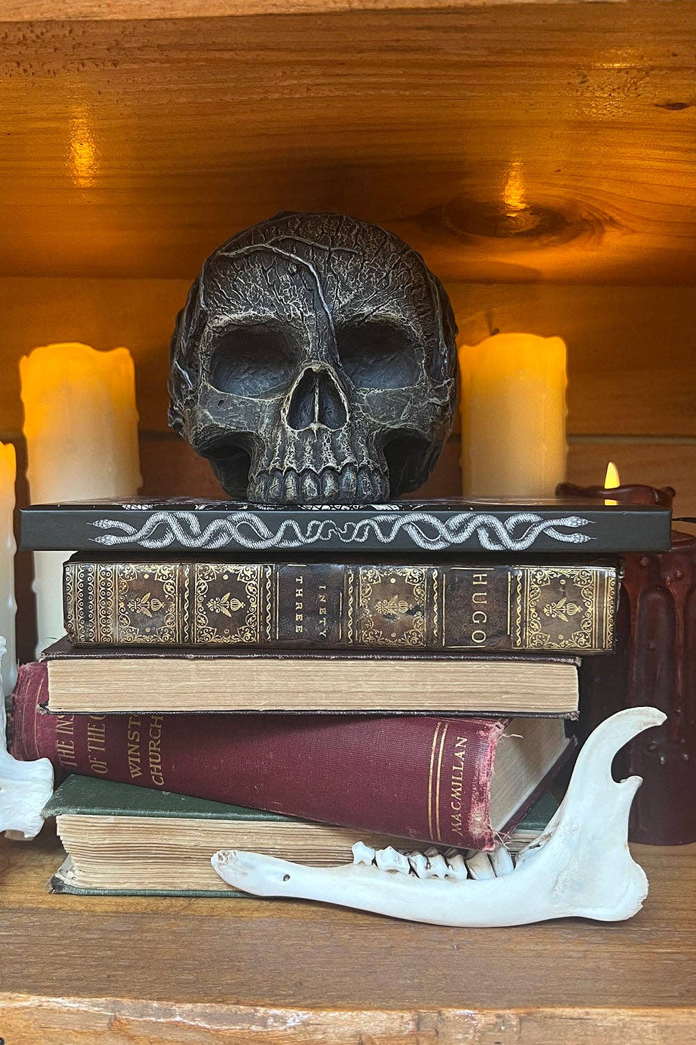 Medusa Journal