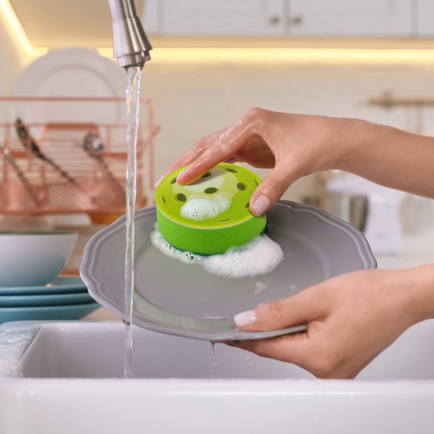 Pickleball Sponges - In The Kitchen