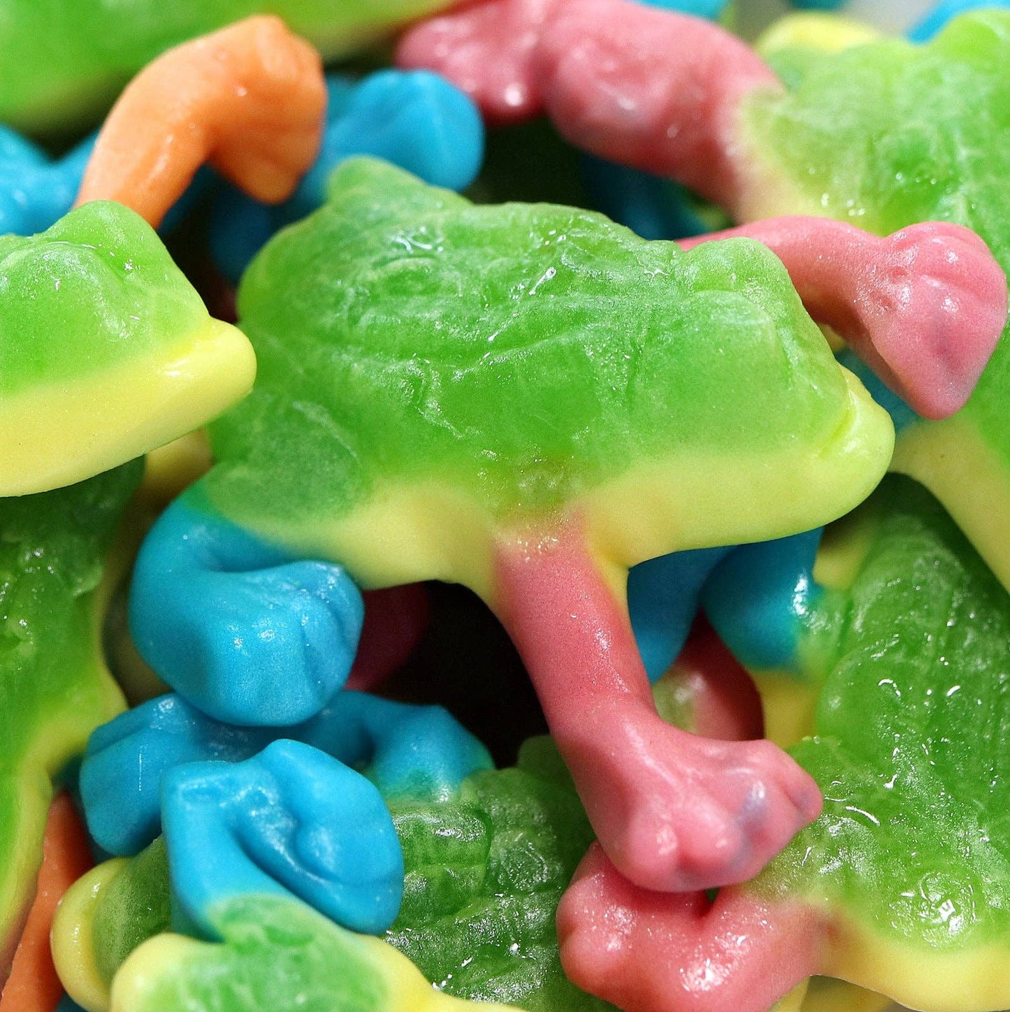 Slime-filled Tree Toads