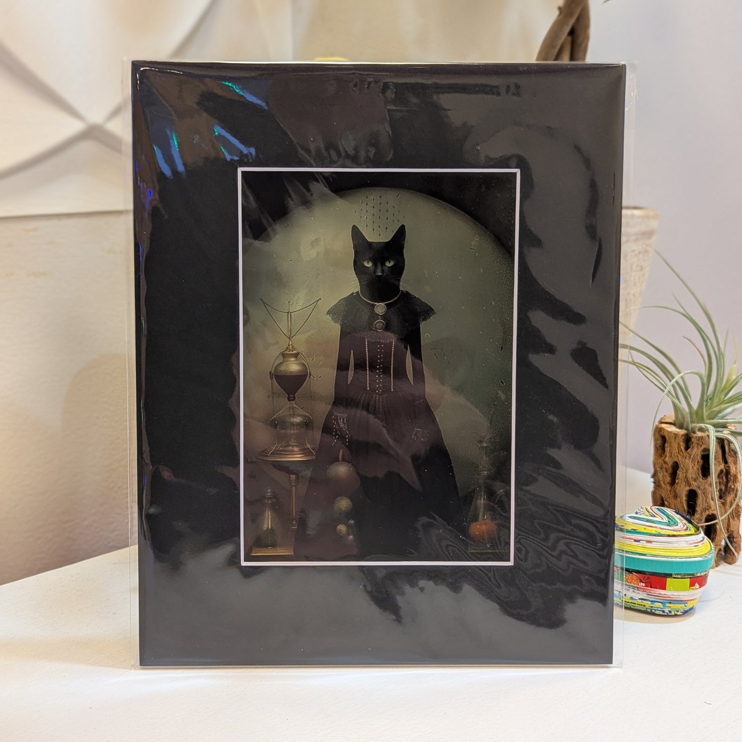 Black Cat in Dress 8 x 10" Print