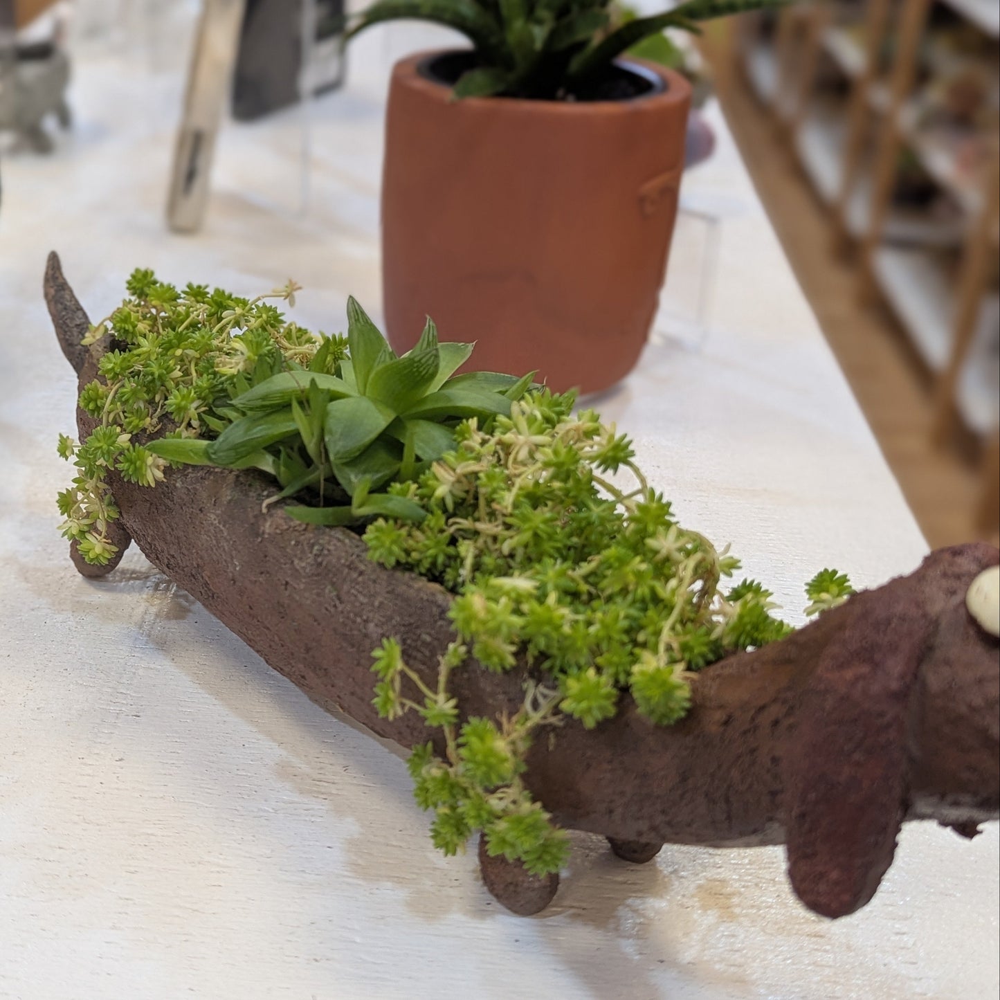 Decorative planter shaped like a dachshund with plants on a shelf