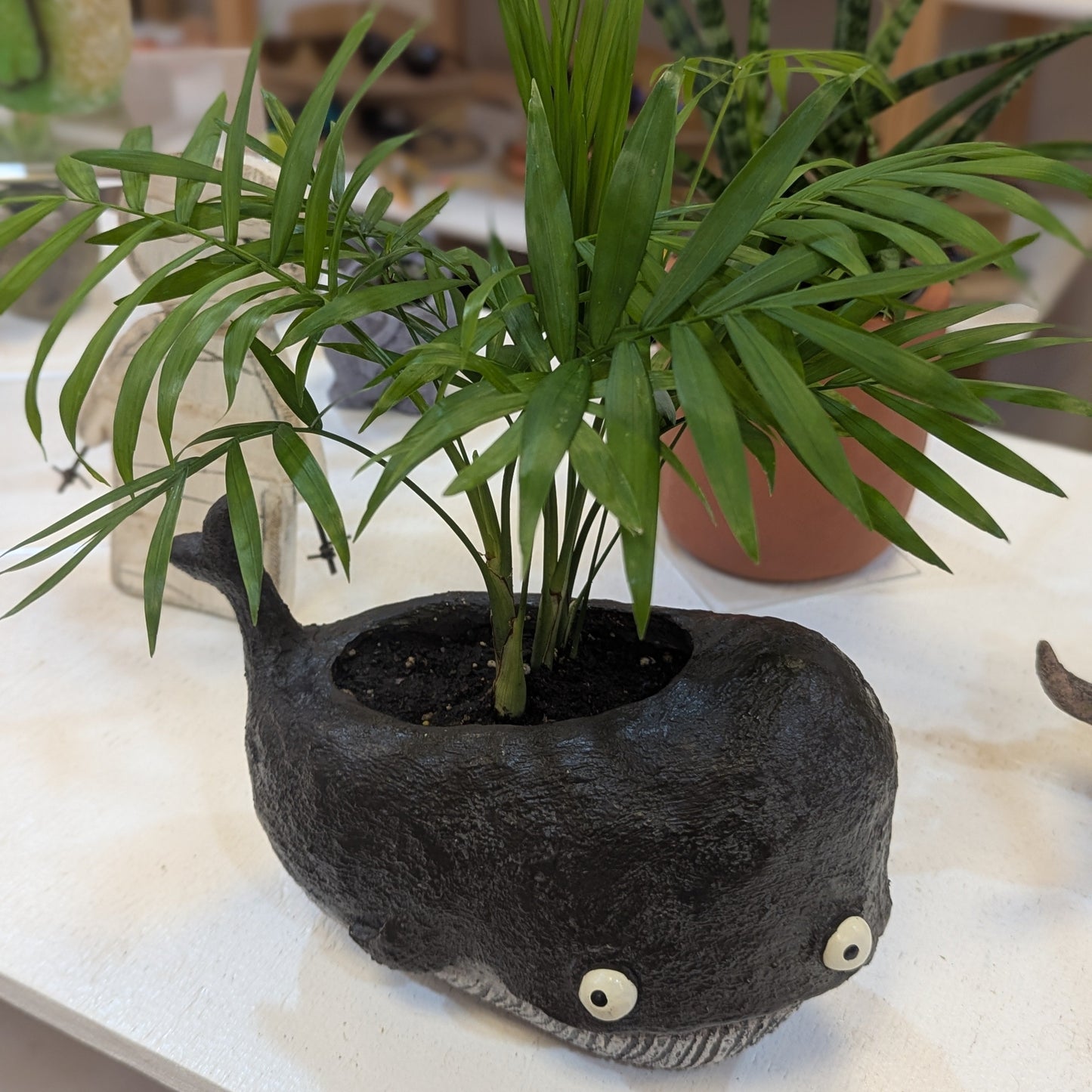 Potted plant in a decorative pot shaped like a whale design on a shelf.