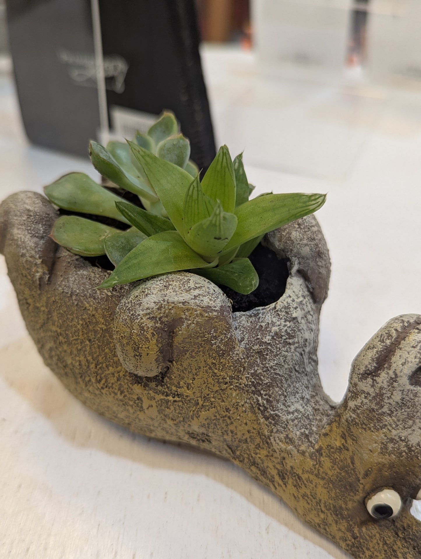 Donkey Planter w/ Potted Plants