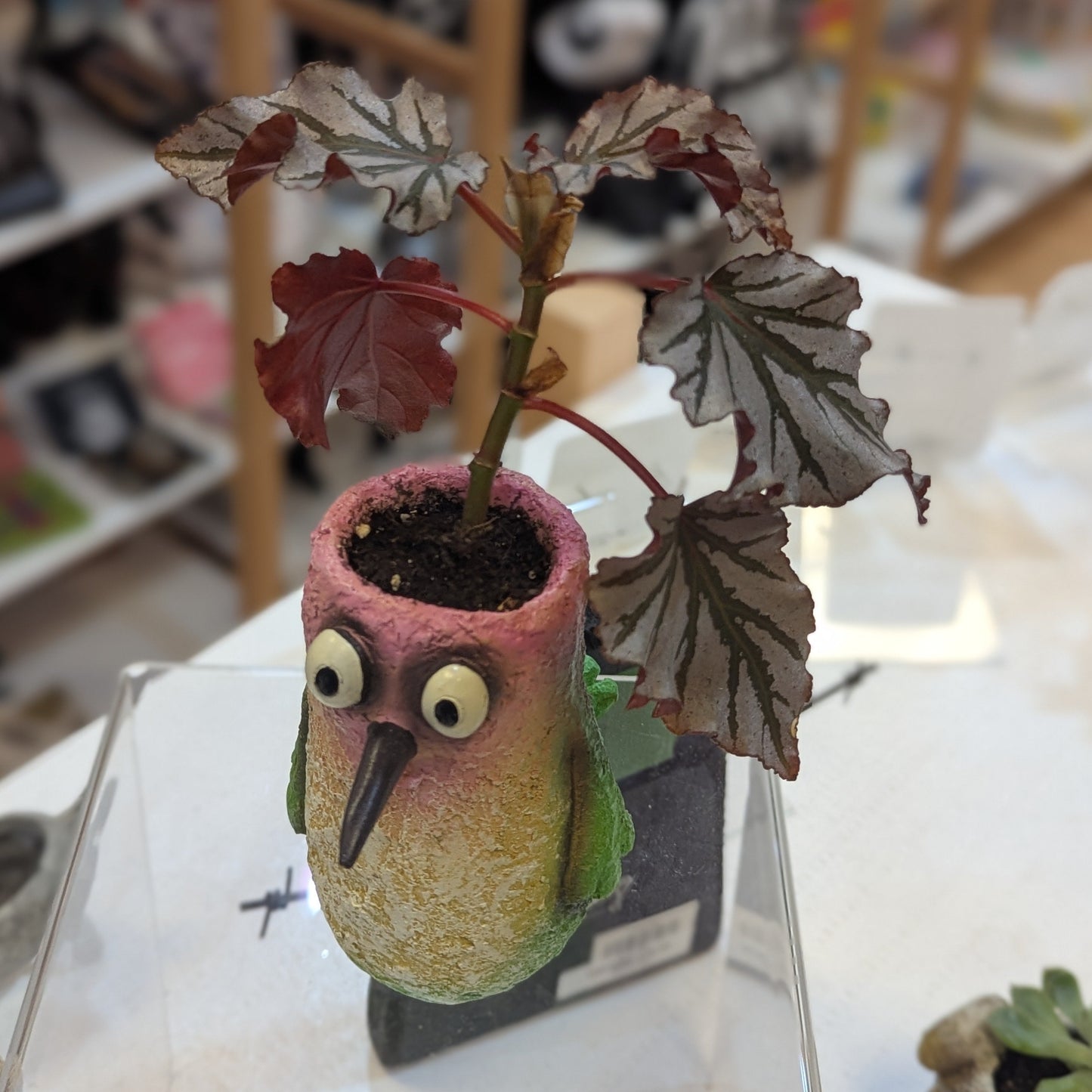 Bird Planter w/ Potted Plants