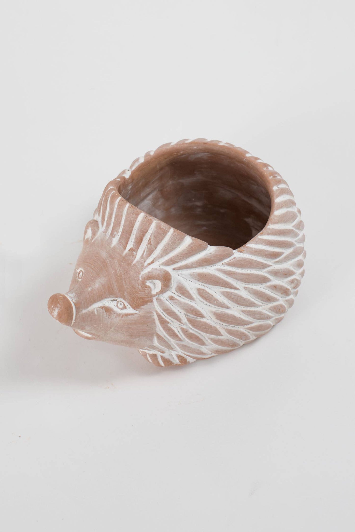 Hedgehog Planter (Large)