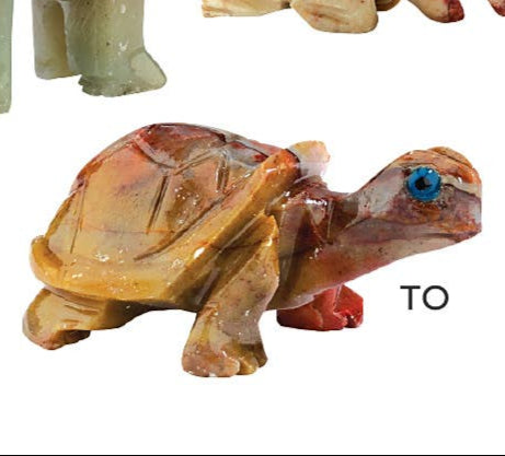 Tortoise Animal Guides