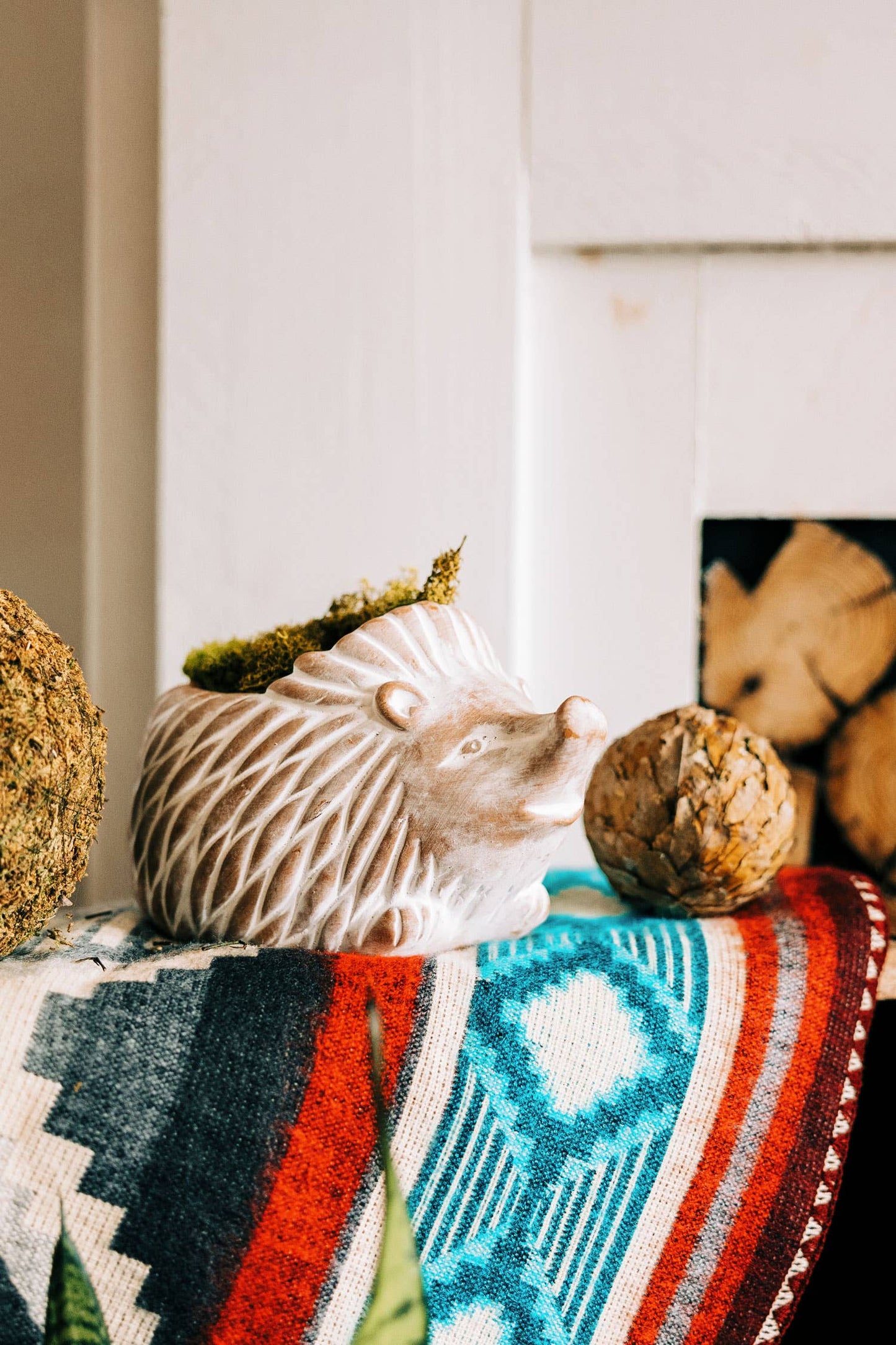 Hedgehog Planter (Large)