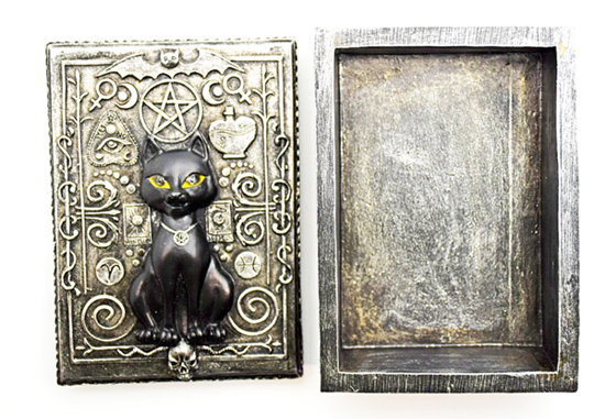 Magical Cat Box