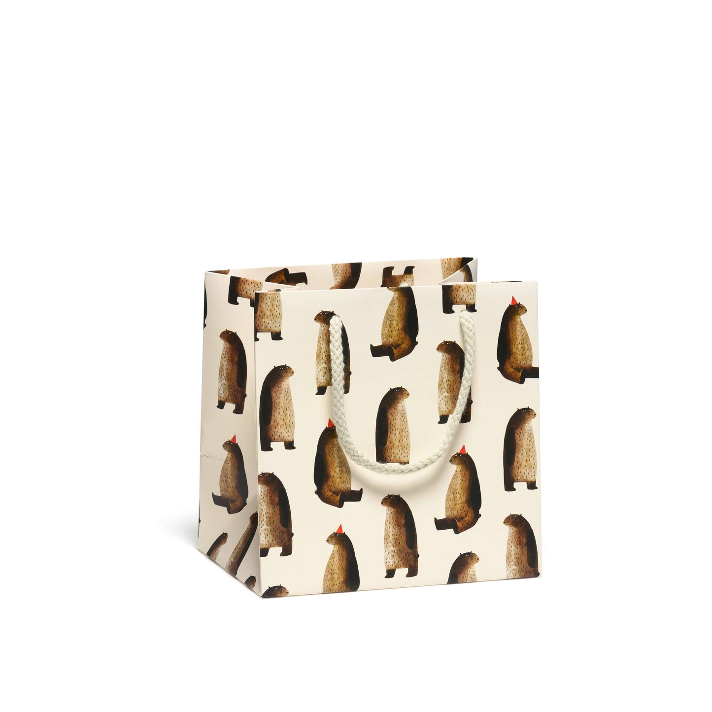 Party Bear gift bags: Large