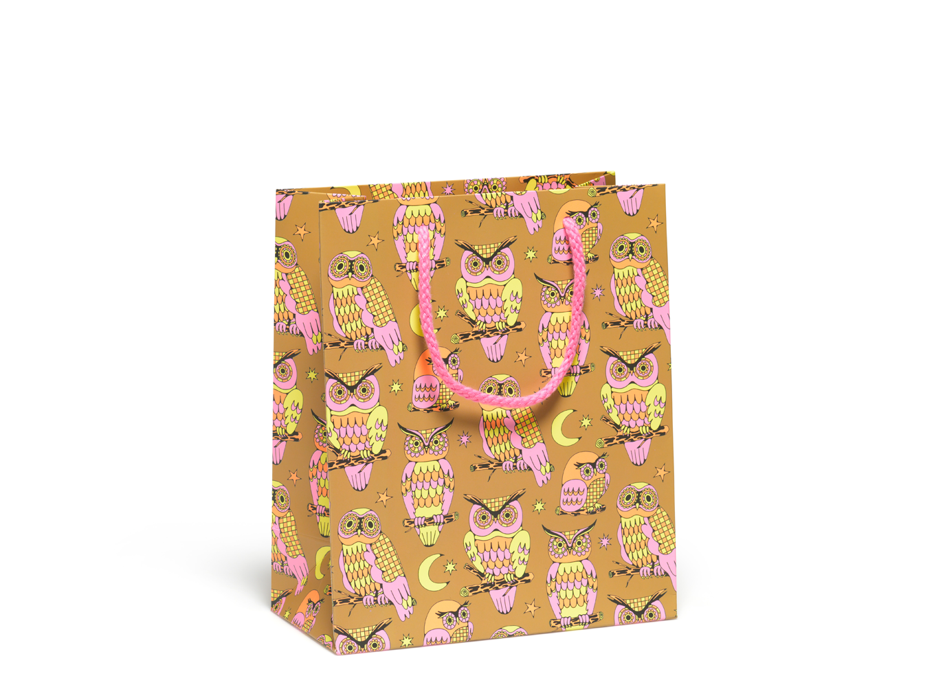 Wise and Wonderful gift bag