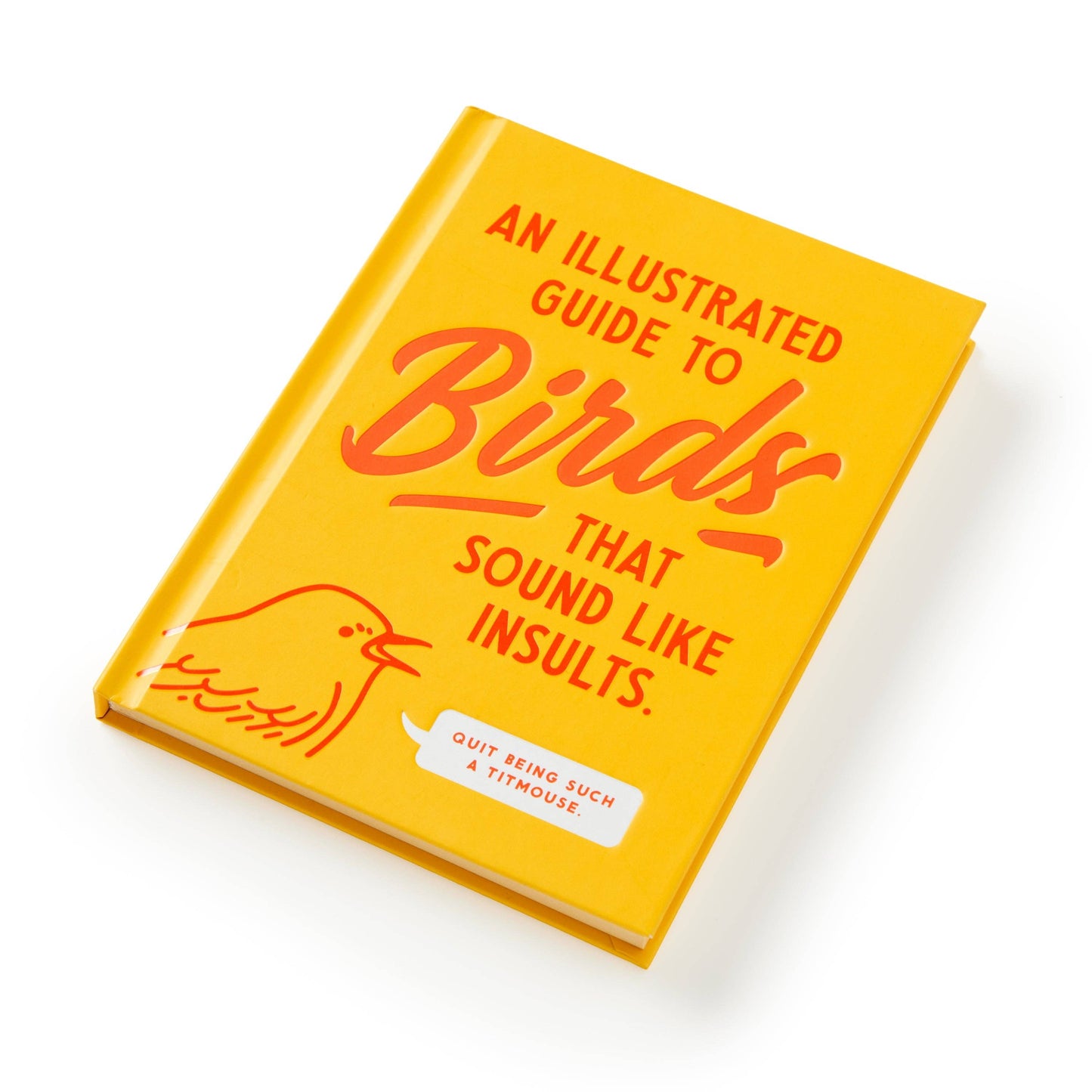 Illustrated Guide to Birds That Sound like Insults