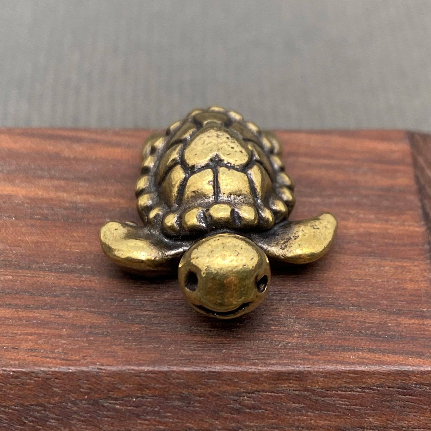 Brass figurine sea turtle on a wooden surface with a gray background