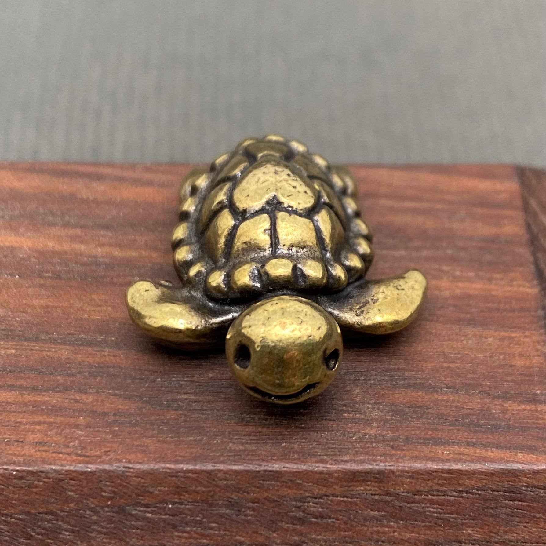 Brass figurine sea turtle on a wooden surface with a gray background