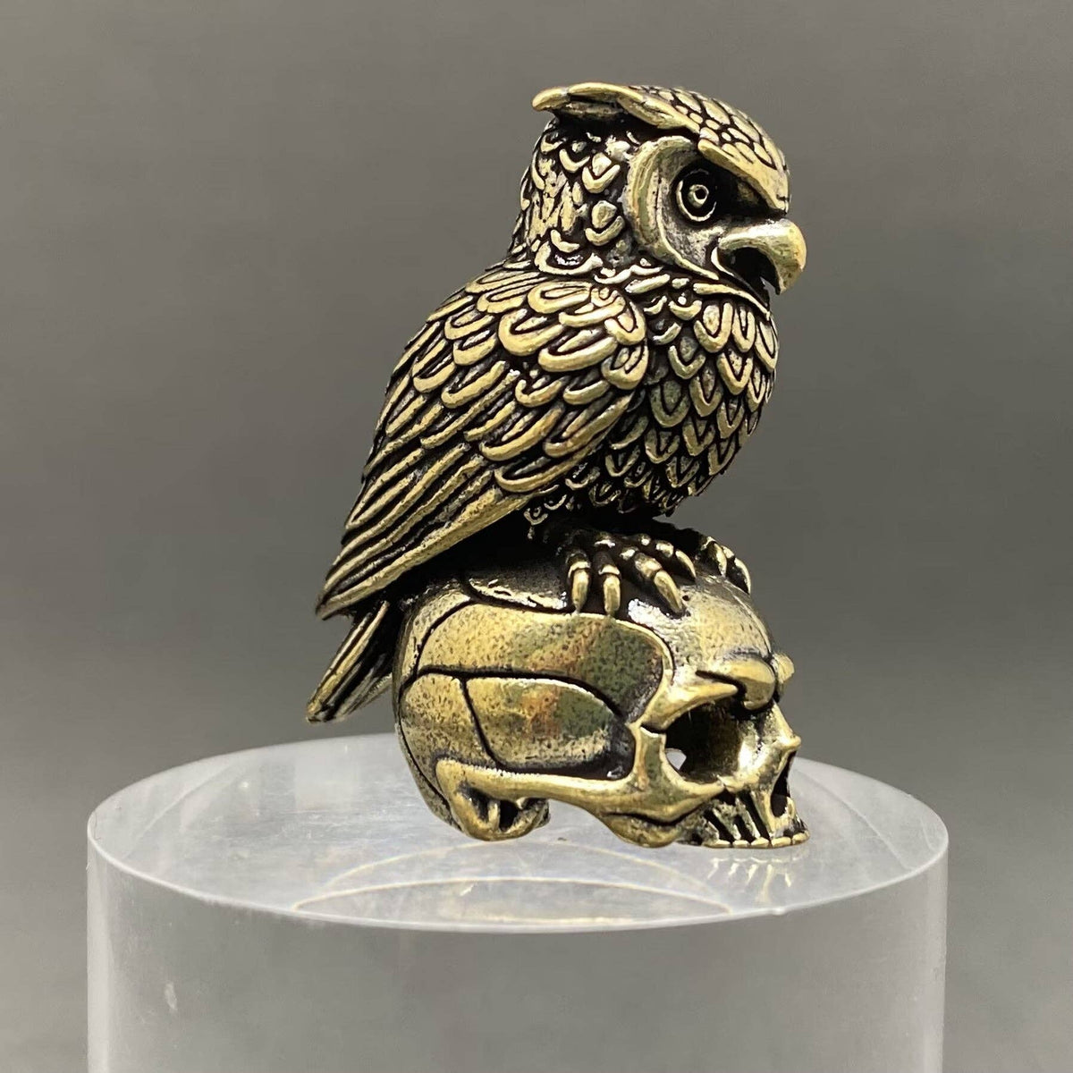 The Owl Standing On The Skeleton Brass Crafts Decoration Ornaments