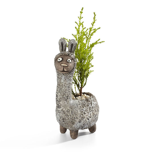 Dolly the Llama Blobhouse Planter