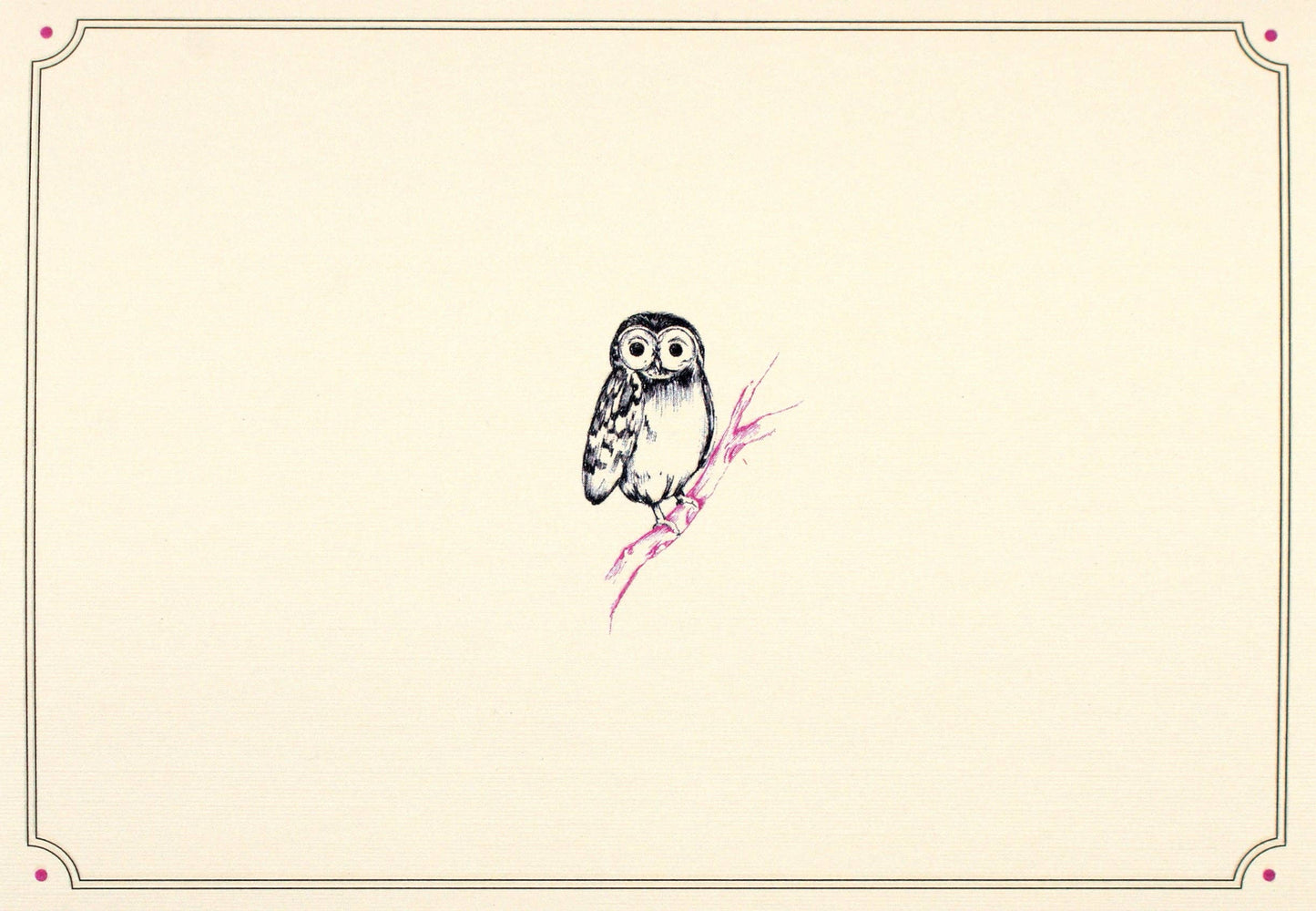 Notecards w/ Illustration of an owl on a branch with a decorative border on a beige background