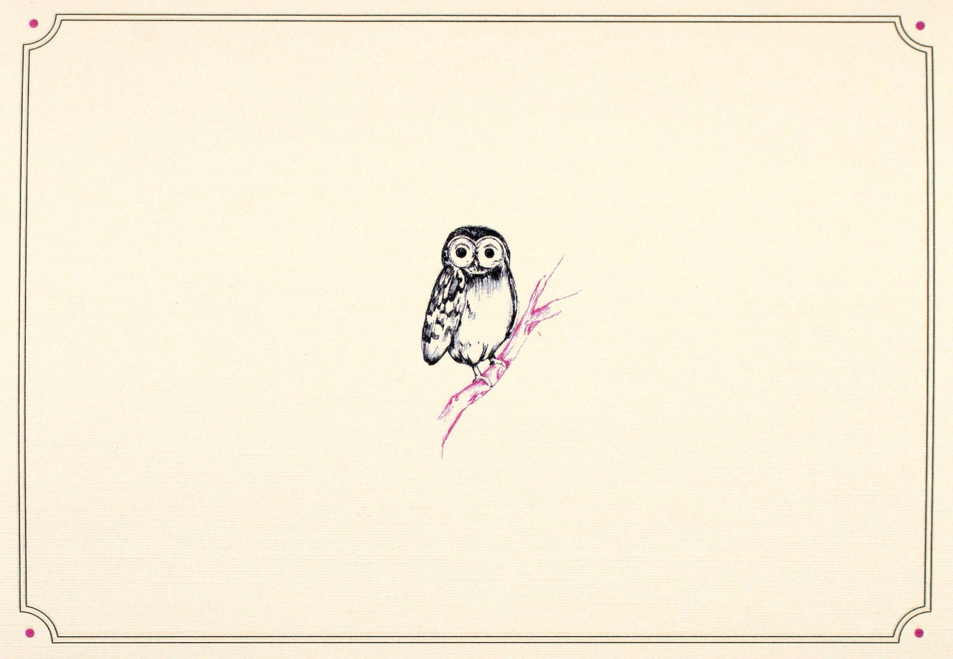 Notecards w/ Illustration of an owl on a branch with a decorative border on a beige background