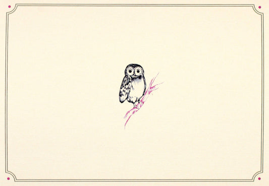 Notecards w/ Illustration of an owl on a branch with a decorative border on a beige background