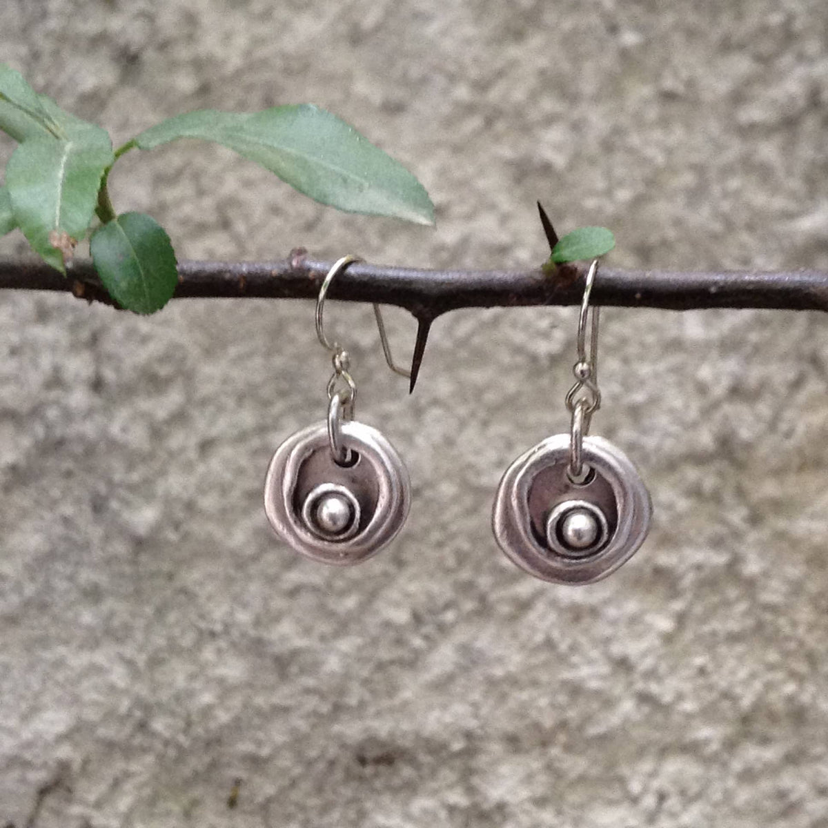 Silver earrings hanging on a branch with a natural background