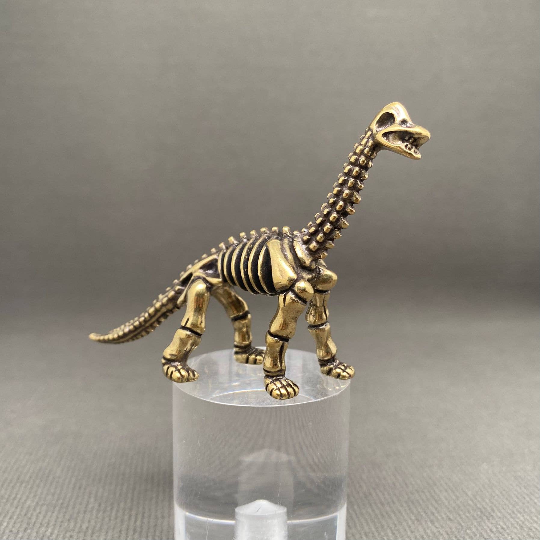 Brass Brachiosaurus dinosaur skeleton figurine on a clear stand against a gray background