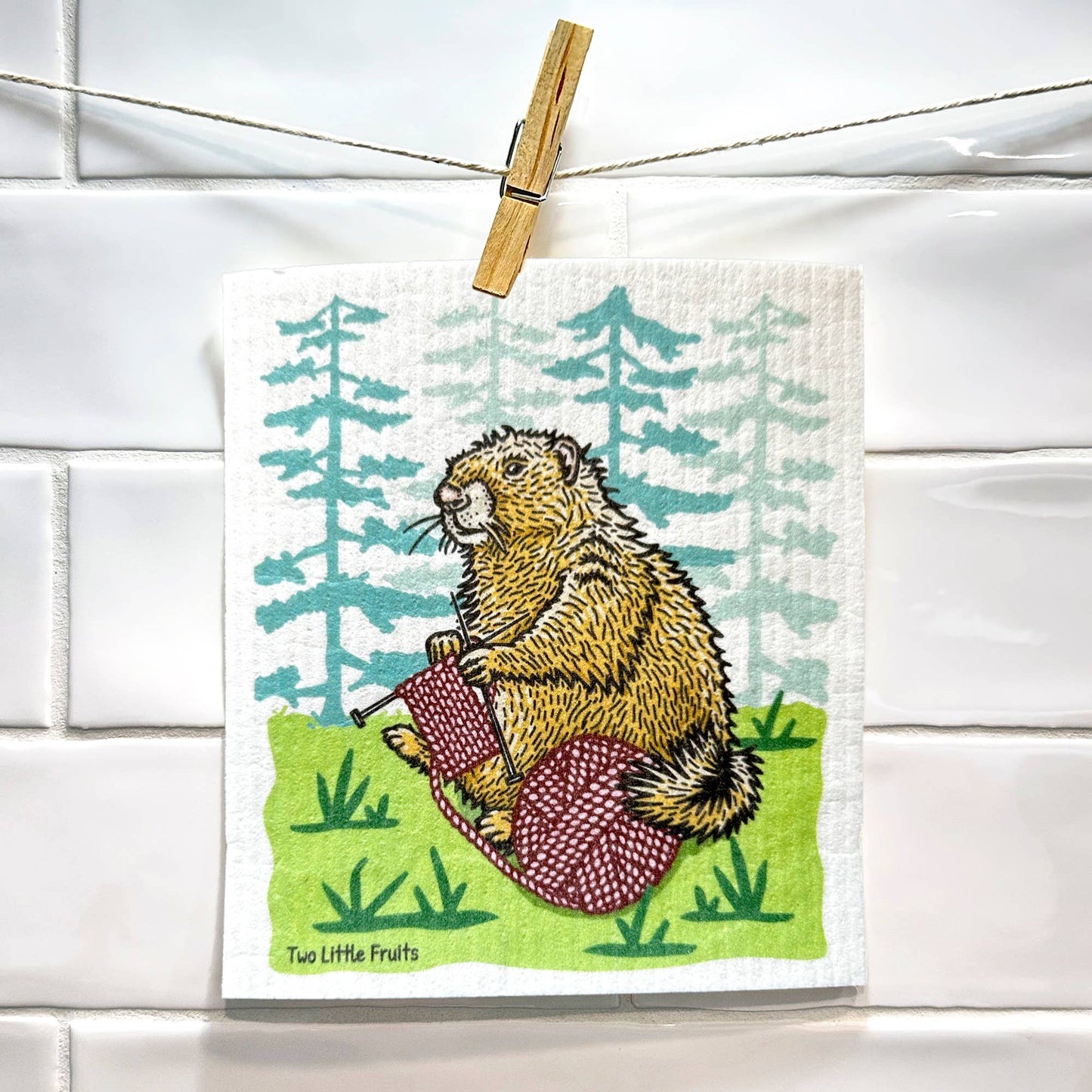 Knitting Eco Swedish Dishcloth