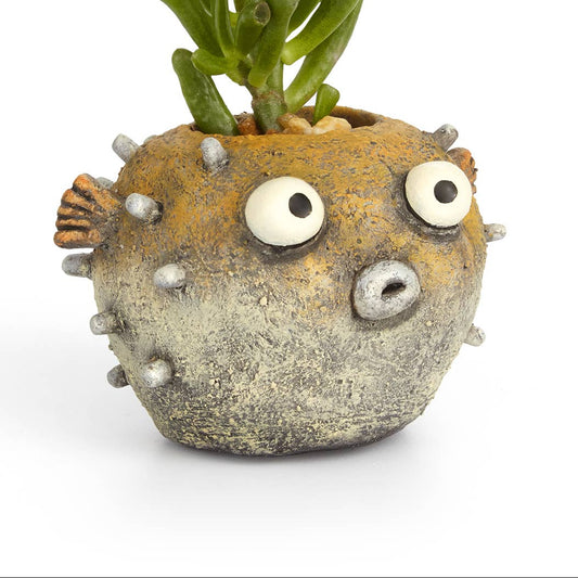 Hootie Blow Fish Blobhouse Planter