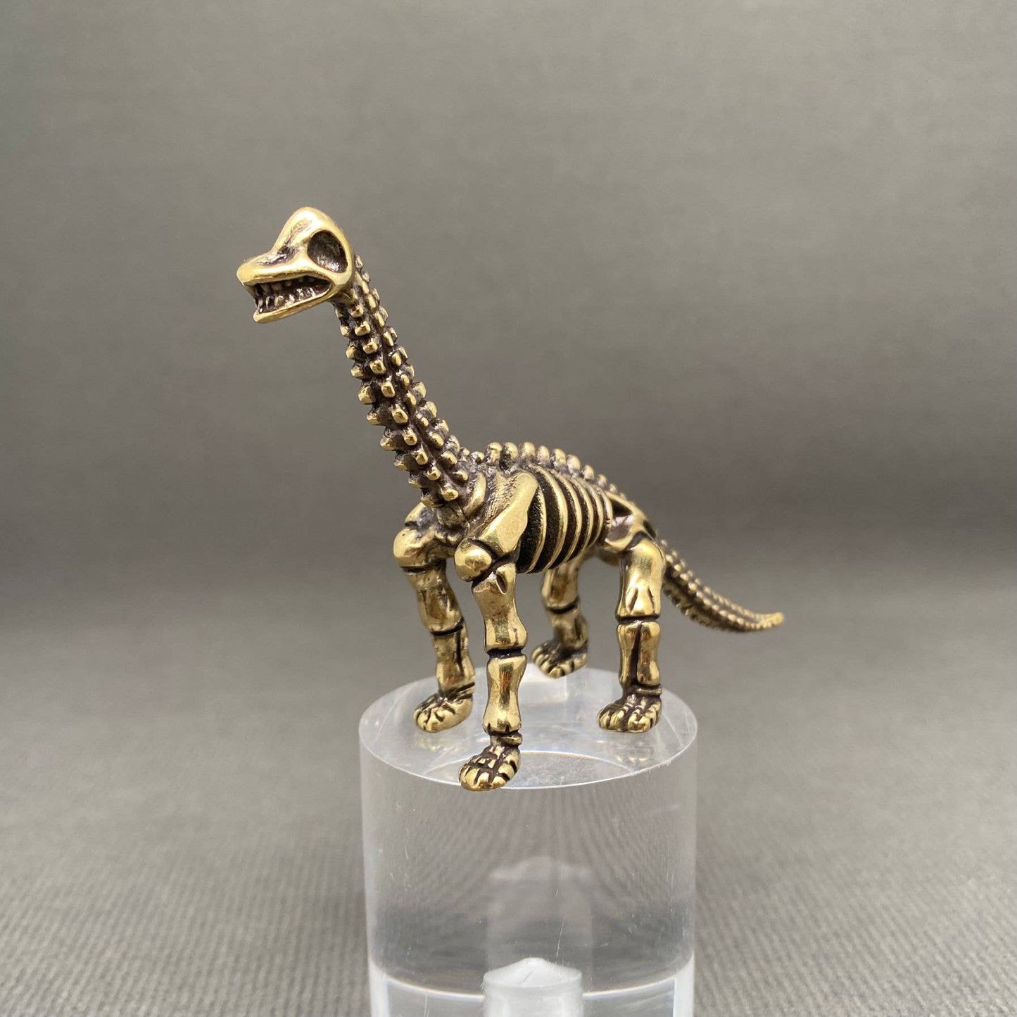 Brass Brachiosaurus Skeleton Figurine