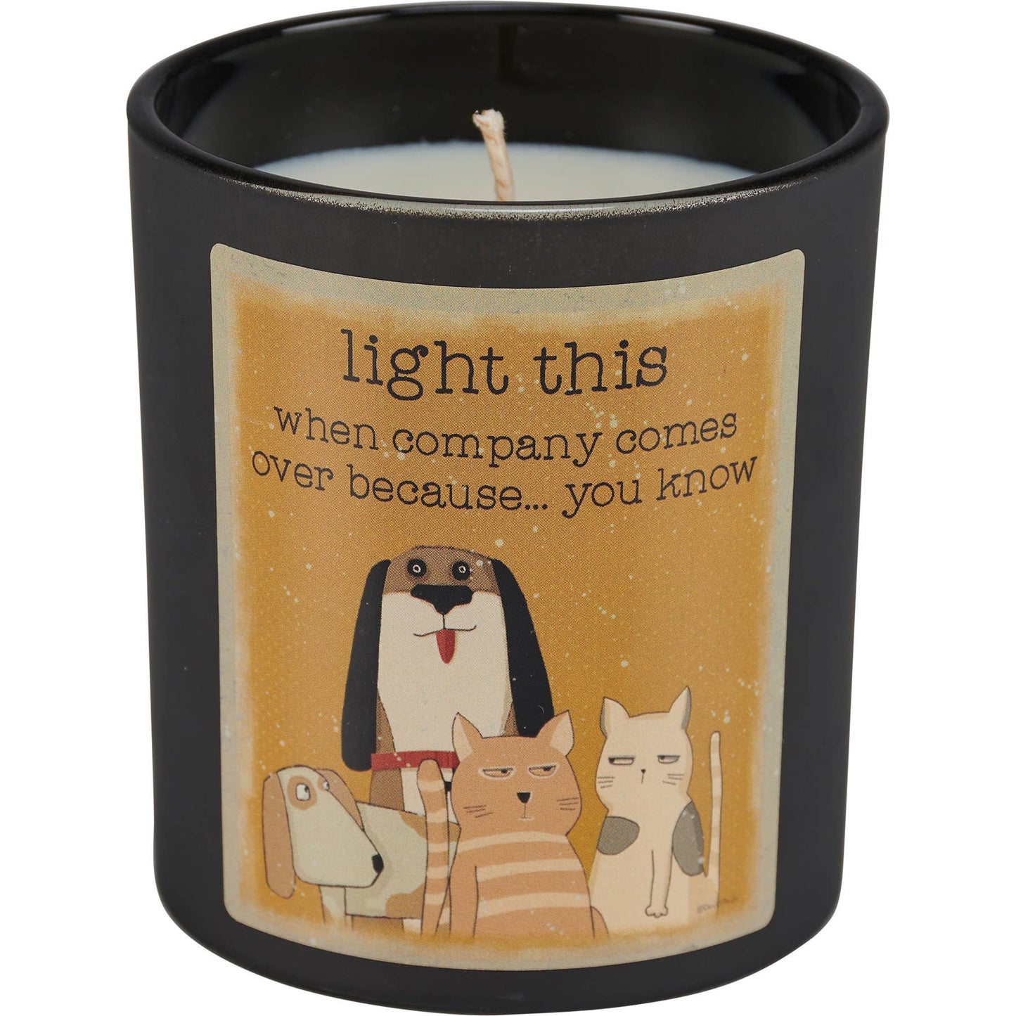 Light This When Company Comes Over Candle