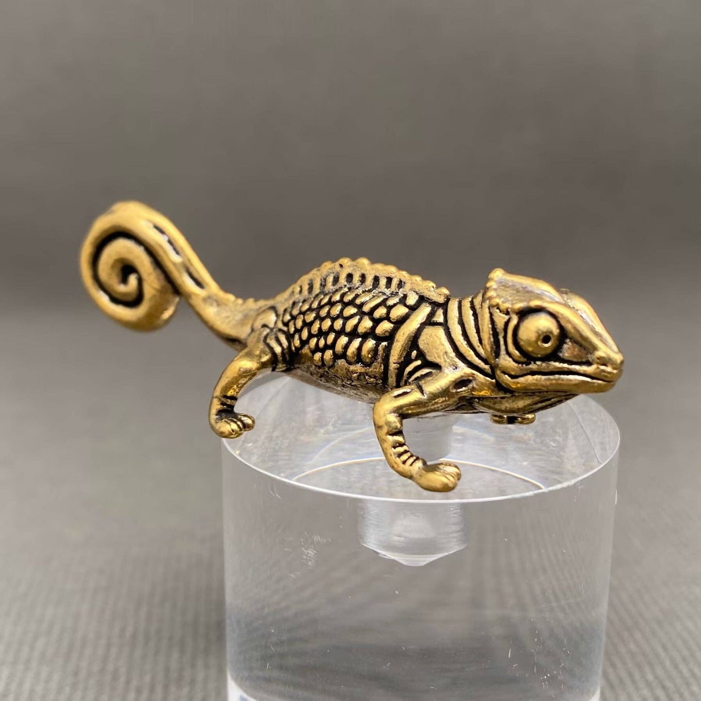 Brass chameleon figurine on a clear glass object against a gray background