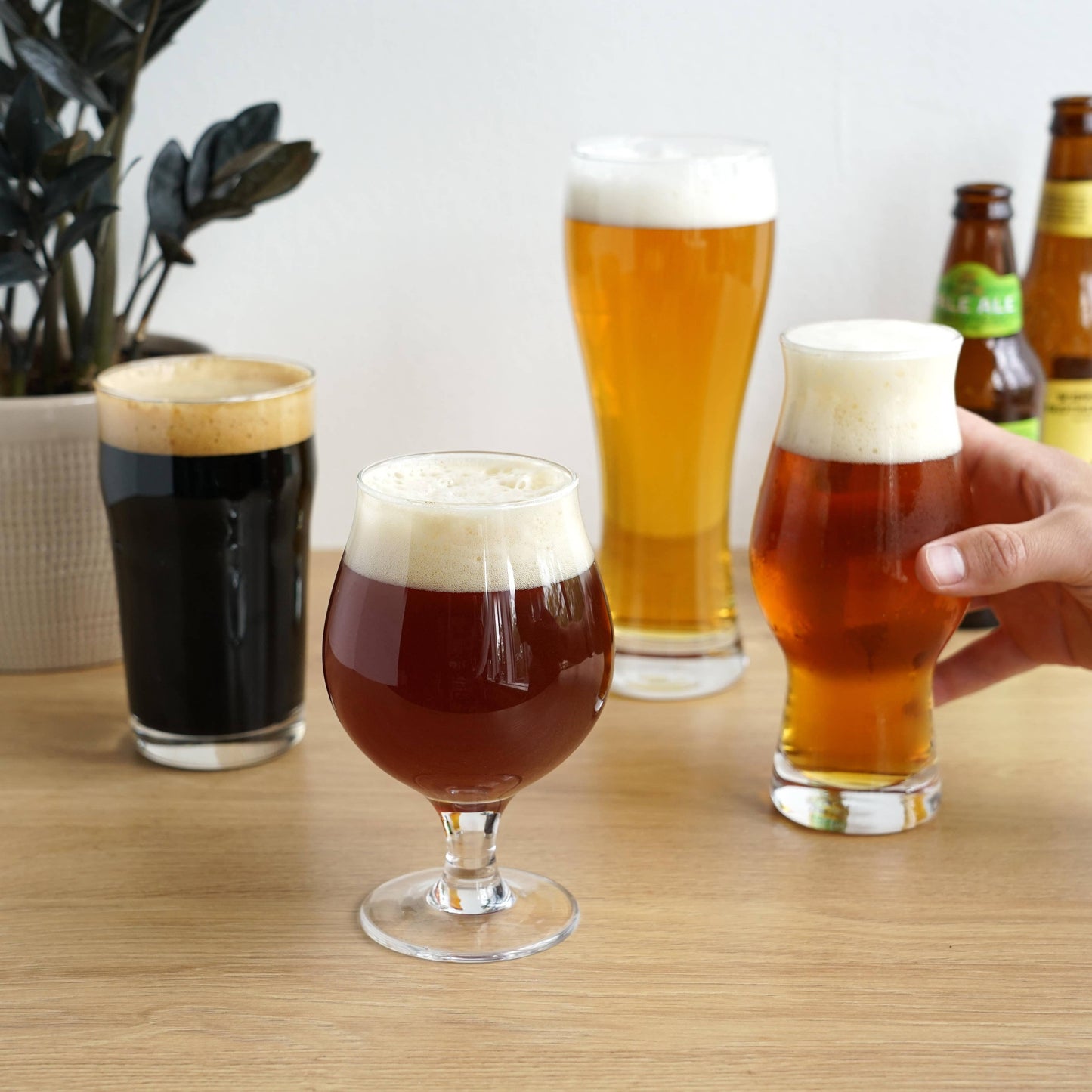 Craft Beer Tasting Glasses Kit - Set of 4