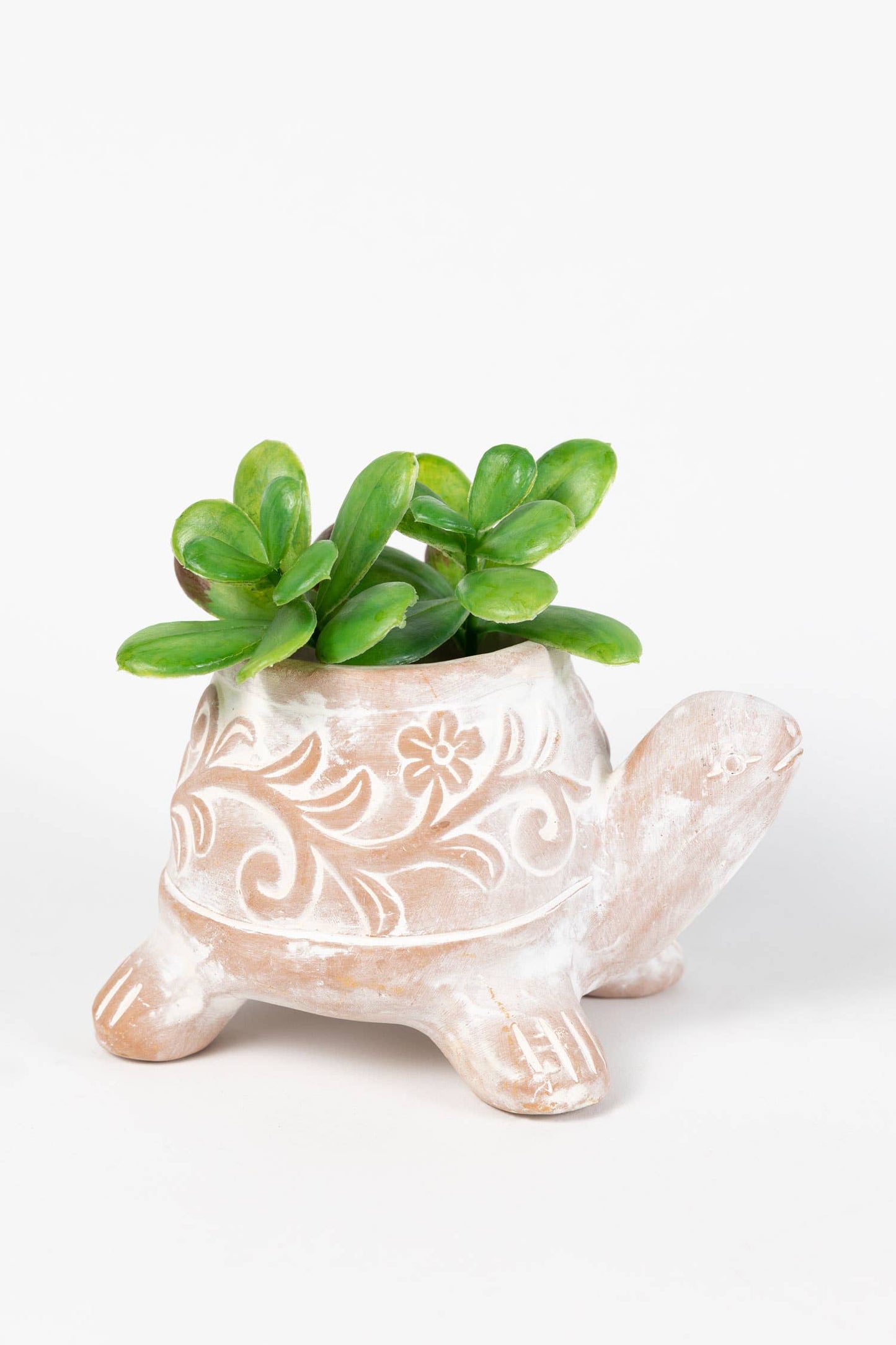 Tanak Turtle Planter