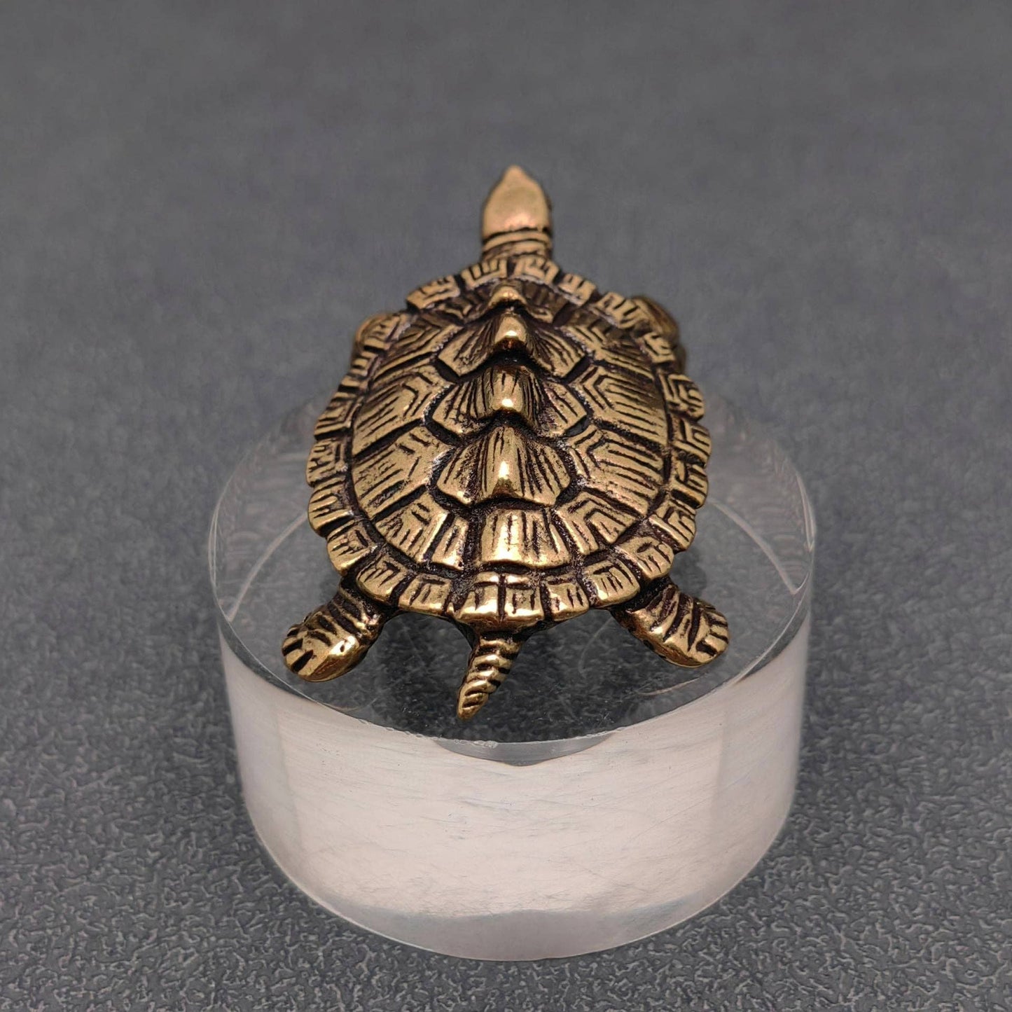 Brass Money Turtle Figurine