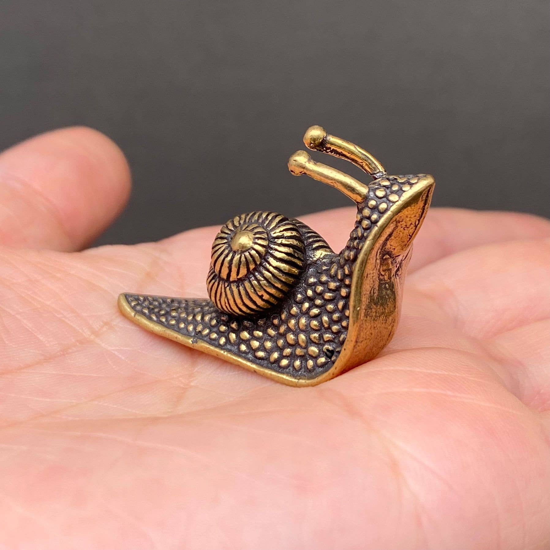 Brass figurine snail held in a hand against a dark background