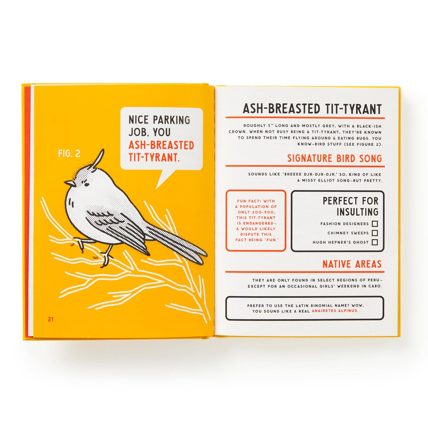 Illustrated Guide to Birds That Sound like Insults