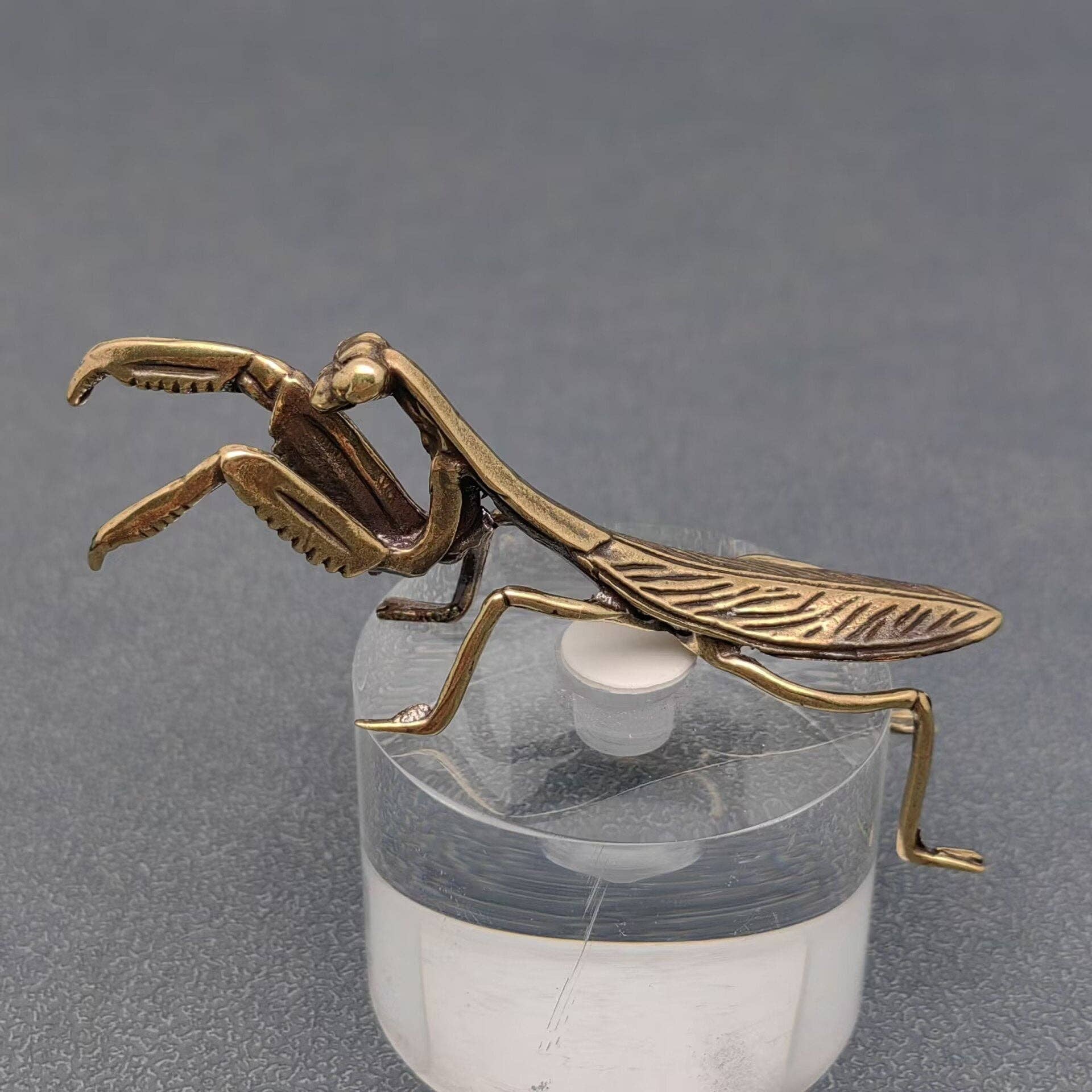 Bronze praying mantis sculpture on a clear stand against a gray background