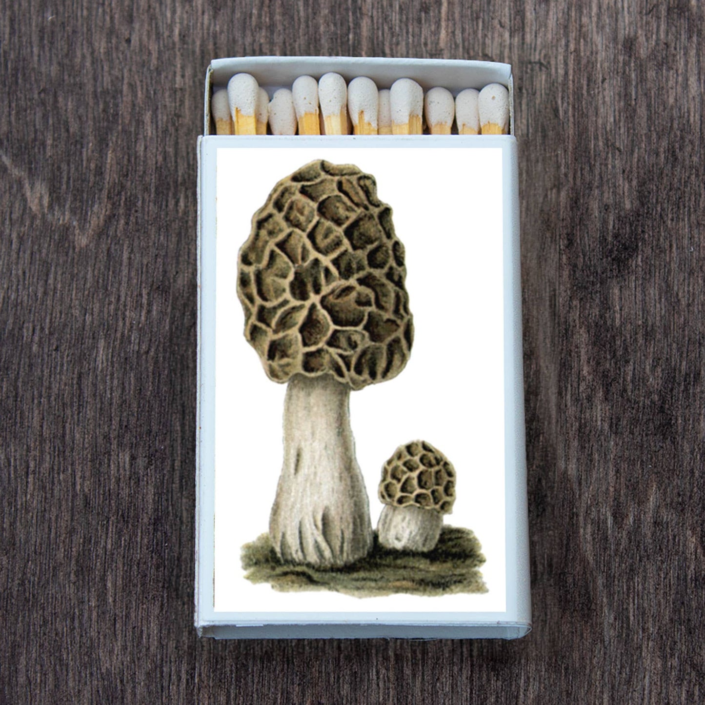 Mushroom Morchel Decorative Matches