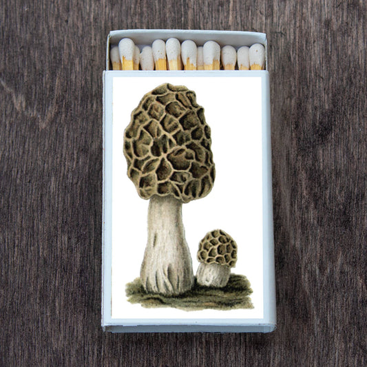 Mushroom Morchel Decorative Matches