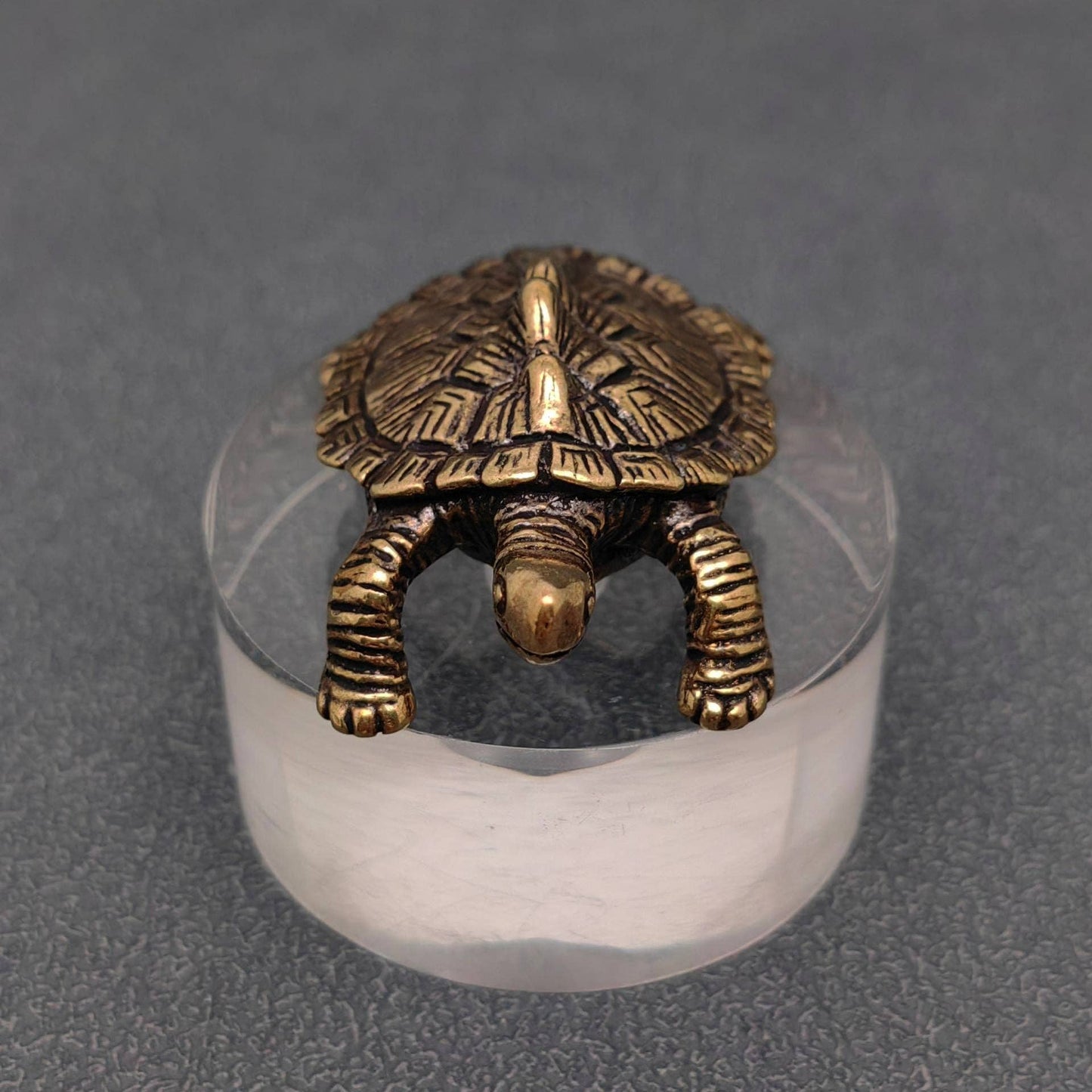 Brass Money Turtle Figurine