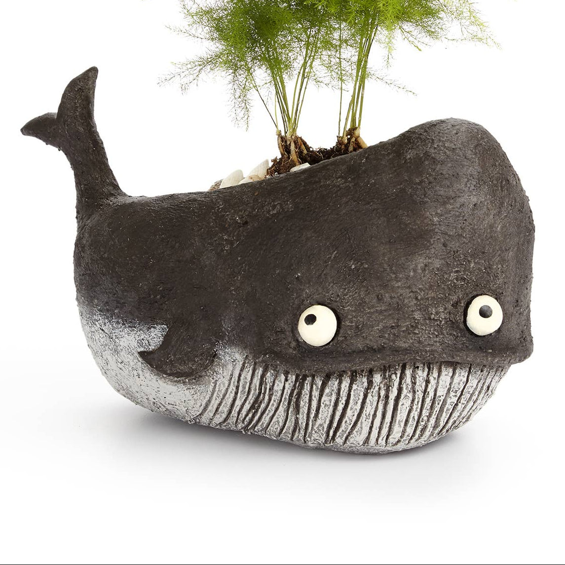 Goliath Whale Blobhouse Planter