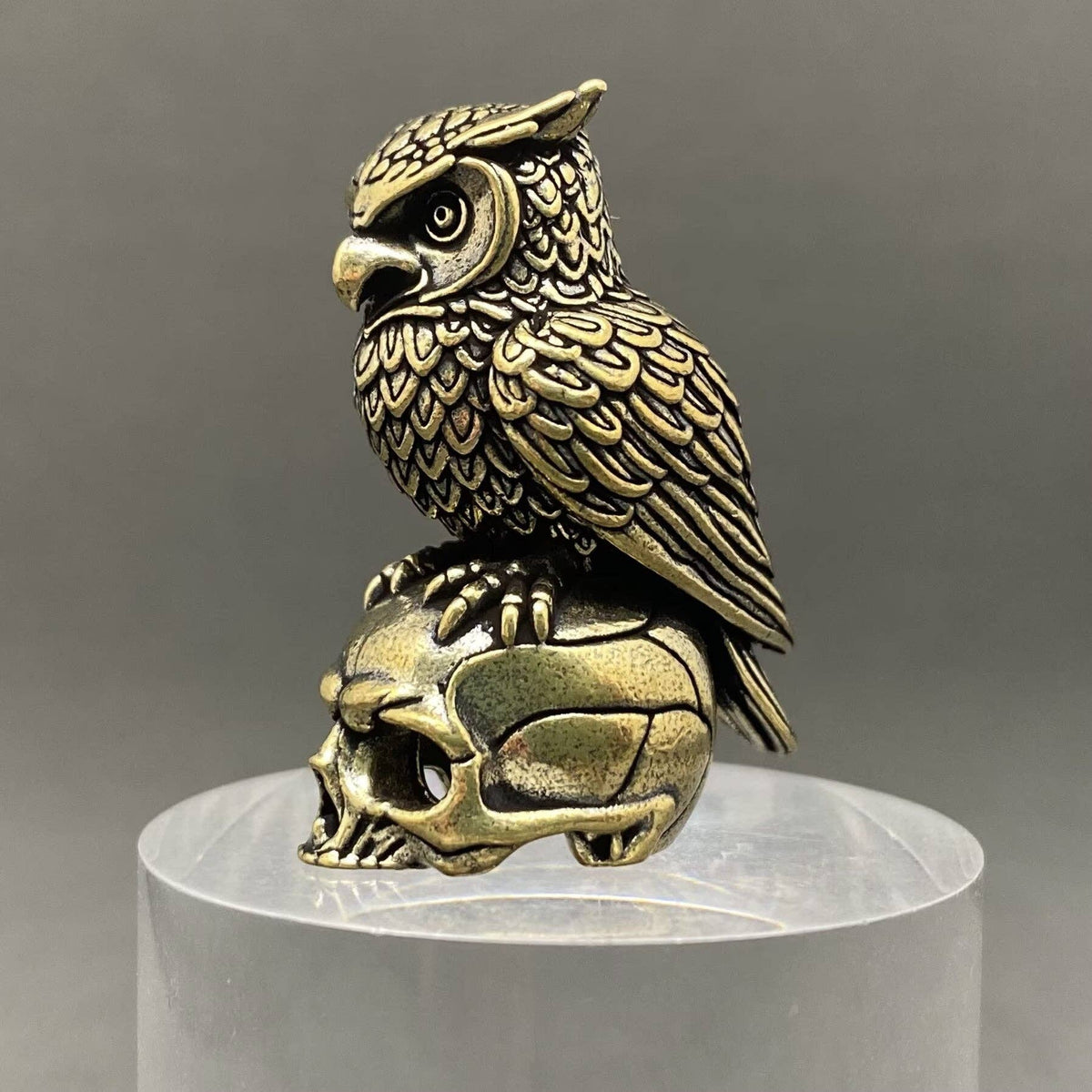 The Owl Standing On The Skeleton Brass Crafts Decoration Ornaments