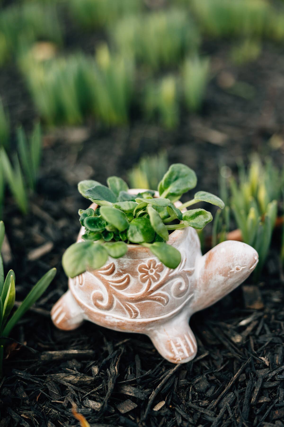 Tanak Turtle Planter