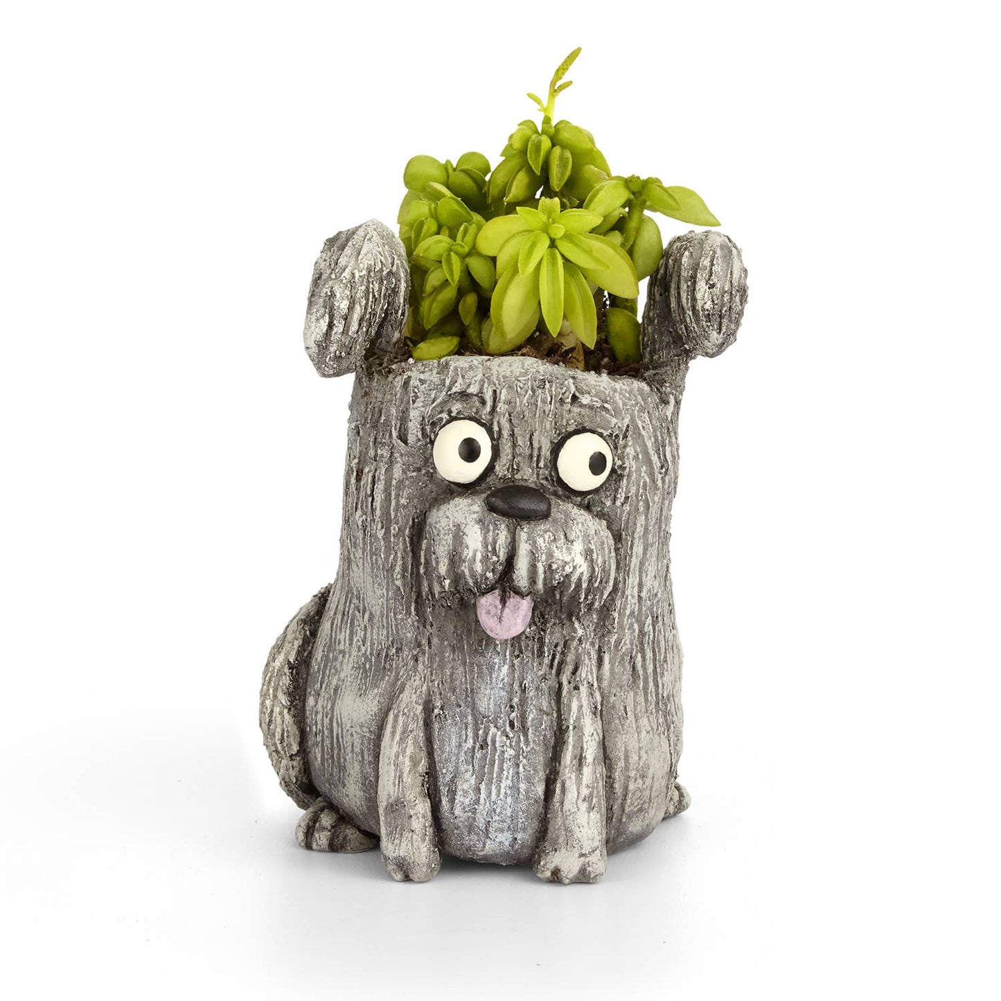 Dog-shaped planter with a plant on a white background