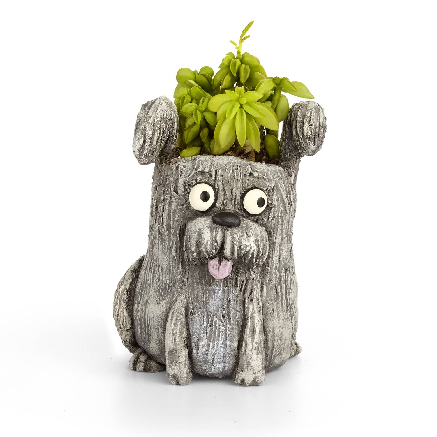Dog-shaped planter with a plant on a white background