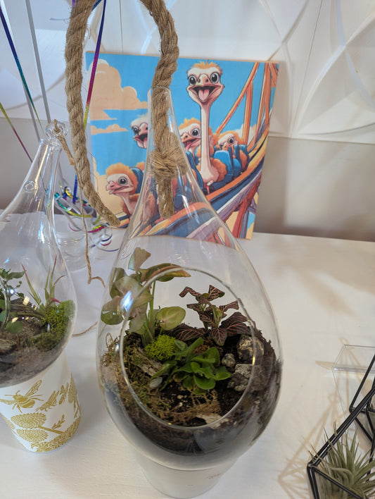Large Hanging Terrarium w/Foliage
